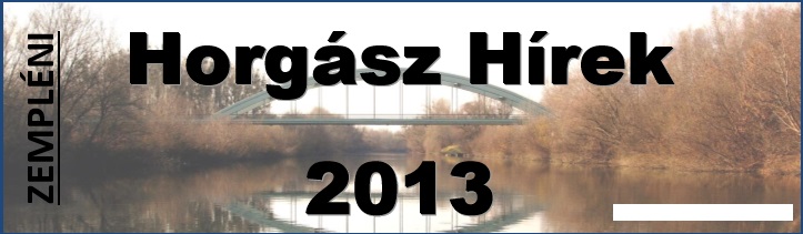 zh2013