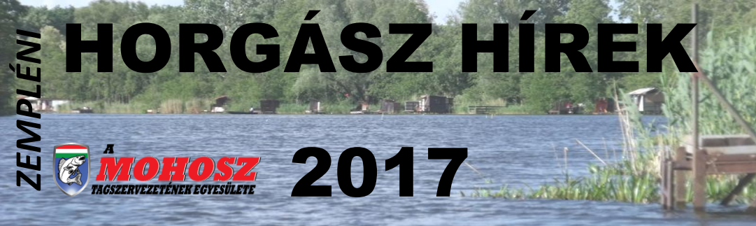 ZHH2017